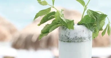 Mojito tarifi