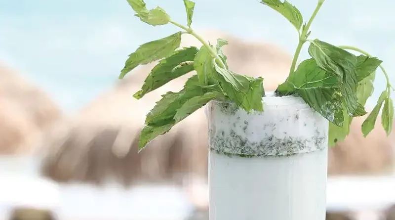 Mojito tarifi