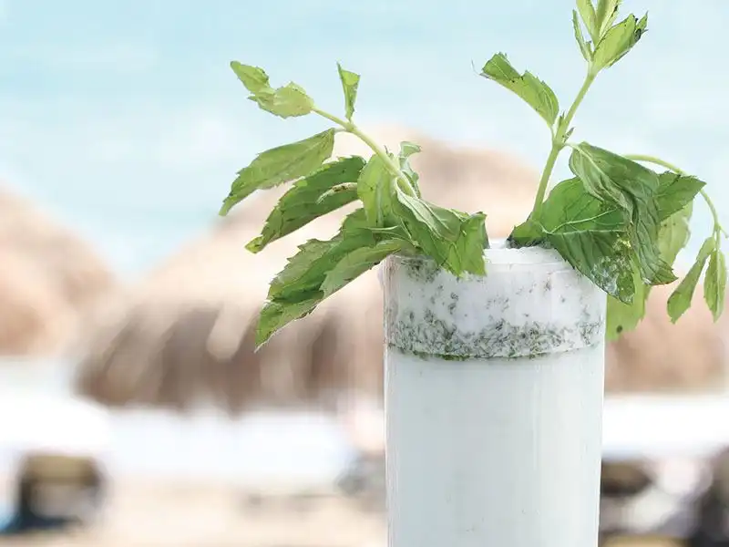 Mojito tarifi