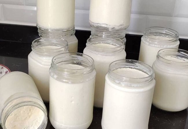Kavanozda Ev Yoğurdu - Yemek Öğren tarifi