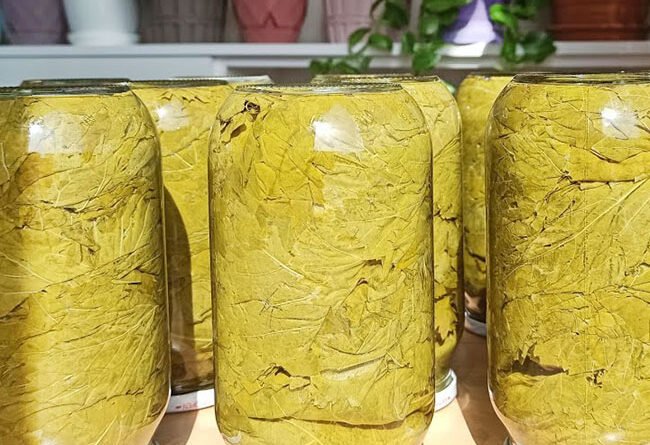Kavanozda Salamura Yaprak Basımı - Yemek Öğren tarifi