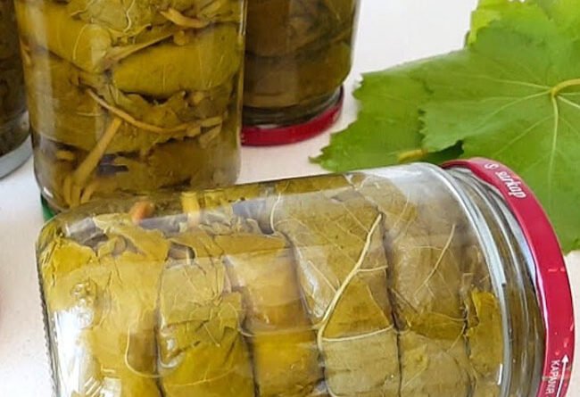 Kavanozda Salamura Yaprak Nasıl Basılır tarifi