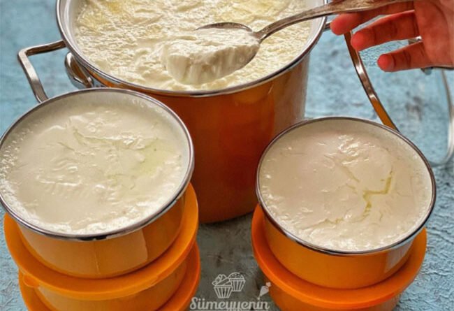 Evde Yoğurt Yapımı: Adım Adım Rehber - Yemek Öğren