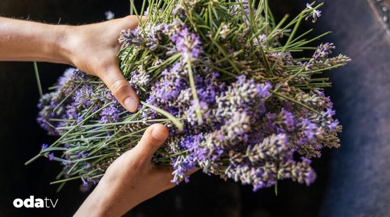 Yenilebilir çiçekler hangi tariflerde kullanılır