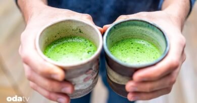 Matcha çayının geleceği tehlikede mi I Matcha çayı nedir I Uji nerede