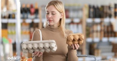 20 milyon yumurta toplatıldı... Korkunç salgın can aldı