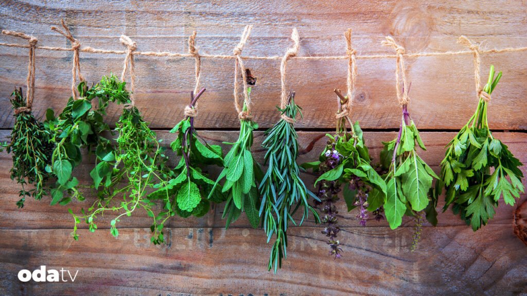 Dünyanın tabağındaki otlar: Tayland'dan İsveç'e 7 ülke, 7 efsane lezzet I Dünyanın favori aromatik otları