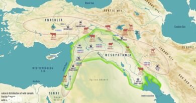 Tahıl uygarlığı nerede başladı I İlk tahıl nerede ekildi