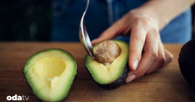 Avokadonun diğer adı I Palta nedir