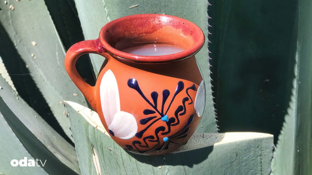 Pulque nedir I Pulque nasıl yapılır