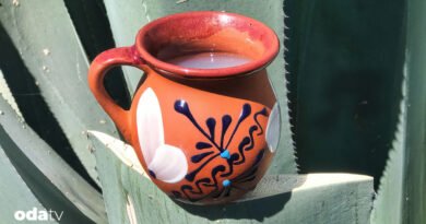 Pulque nedir I Pulque nasıl yapılır