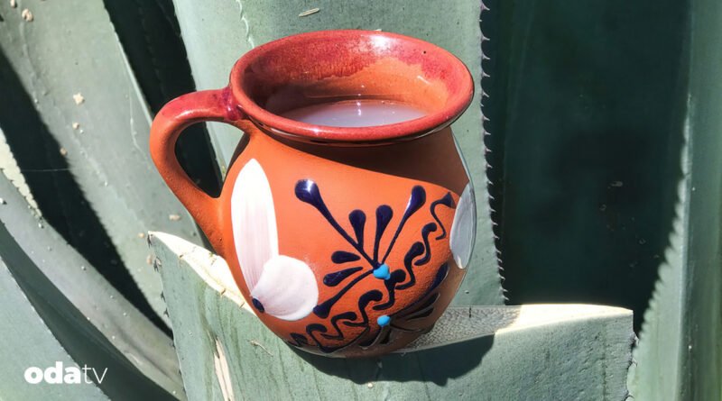 Pulque nedir I Pulque nasıl yapılır