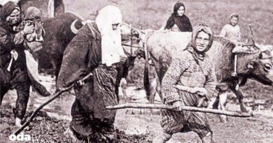 Aydın çorbası, saray pilavı ve cumhuriyet tatlısı I Osmanlı reform mutfağı