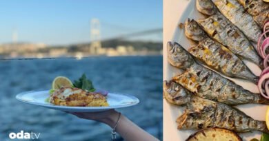 Sortie yeşilköy balıkçısının yemekleri I İstanbul boğazında hangi balıkçılar var