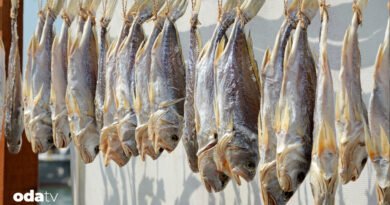 Balık tuzlama nedir I Balık tuzlama nasıl yapılır I Dünyanın en ünlü tuzlanmış balık çeşitleri