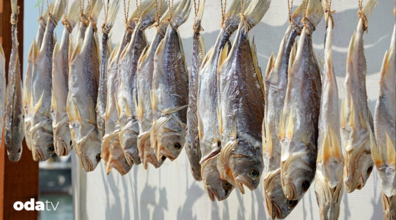 Balık tuzlama nedir I Balık tuzlama nasıl yapılır I Dünyanın en ünlü tuzlanmış balık çeşitleri