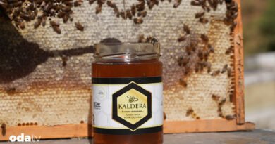 Bitlis'in altın damlası, bir eğitim ve başarı hikayesi