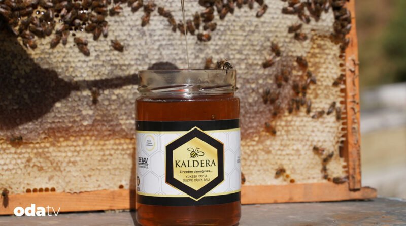 Bitlis'in altın damlası, bir eğitim ve başarı hikayesi