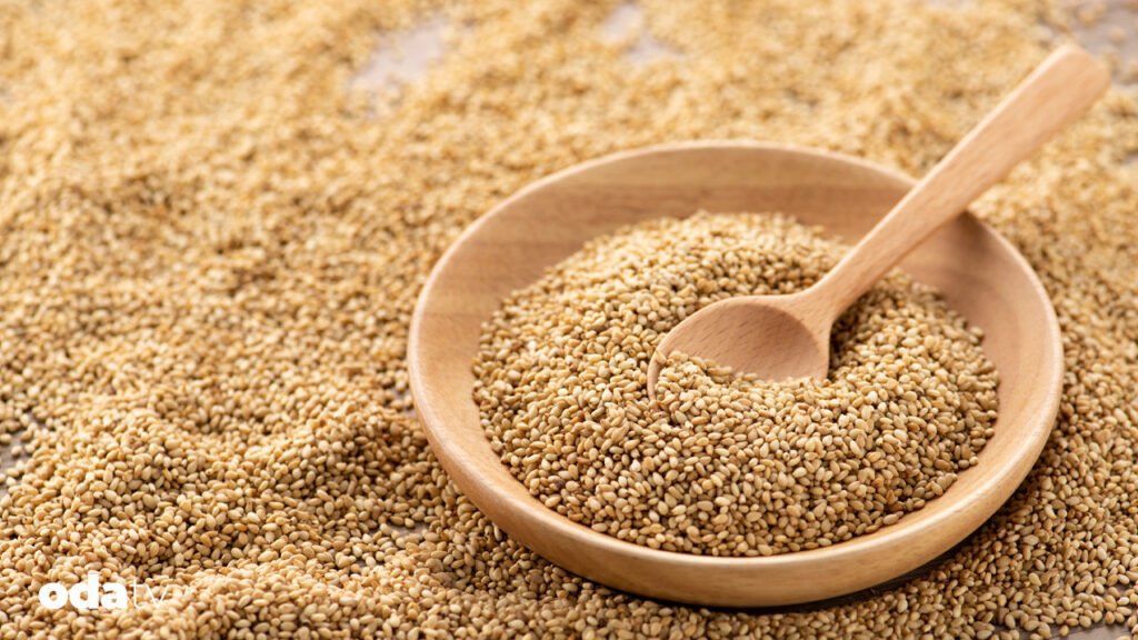 Gökova'da susam zamanı - Son Dakika GastrOda Haberleri