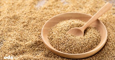 Gökova'da susam zamanı - Son Dakika GastrOda Haberleri