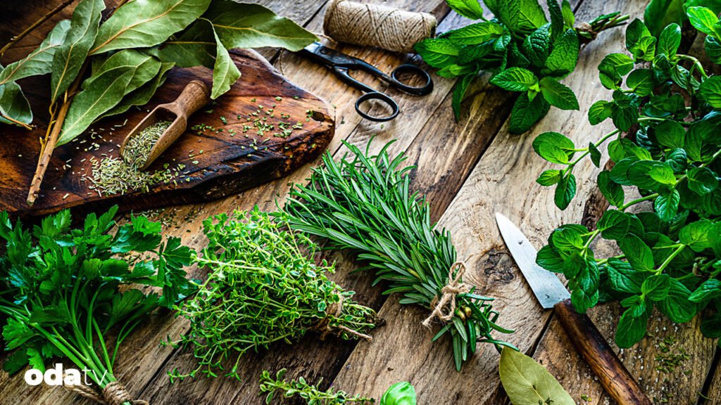Hangi aromatik ot ve baharat nerede, nasıl ve niçin kullanılır