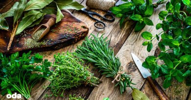 Hangi aromatik ot ve baharat nerede, nasıl ve niçin kullanılır