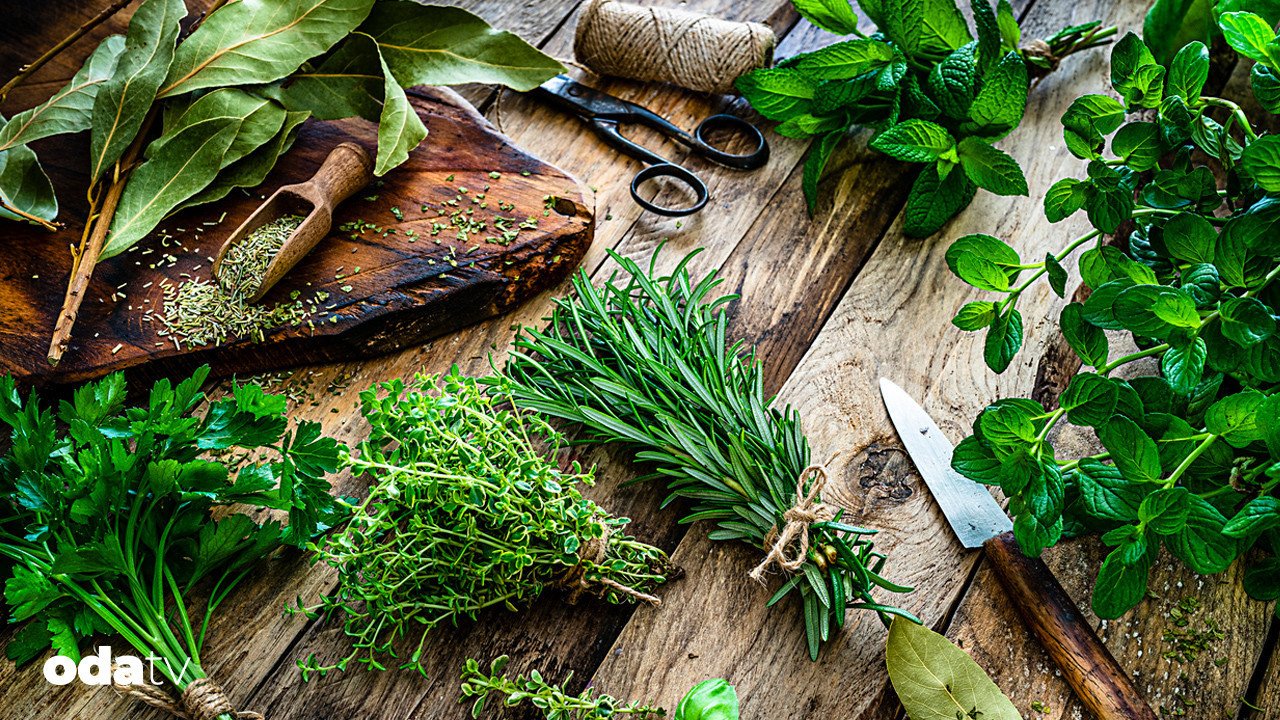 Hangi aromatik ot ve baharat nerede, nasıl ve niçin kullanılır