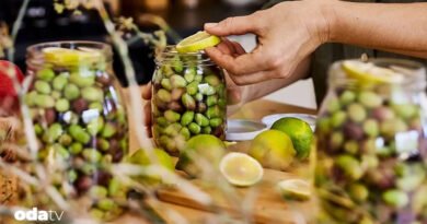 Salamura zeytin nasıl yapılır I Salamura zeytinde hangi zeytin kullanılır