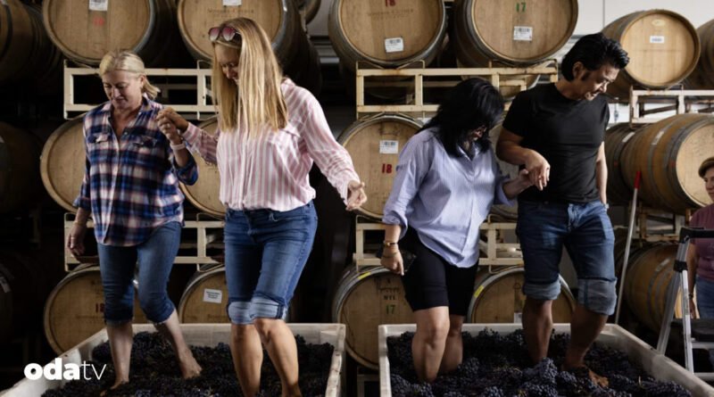 5 bin dolar verip ayaklarıyla üzüm eziyorlar