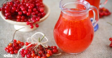 Ağız sağlığından sindirime bir numara I Gilaburu nedir I Gilaburu neye iyi gelir