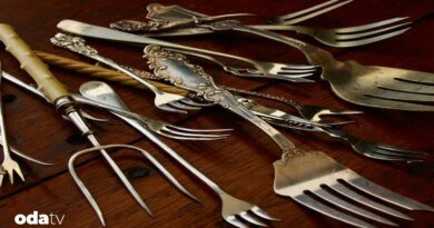 Basit bir çatal, dünyayı nasıl değiştirdi I Çatalın tarihi