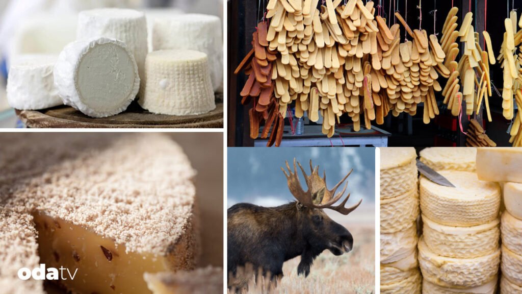 Dünyanın en tuhaf peynirleri - Son Dakika GastrOda Haberleri