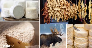 Dünyanın en tuhaf peynirleri - Son Dakika GastrOda Haberleri