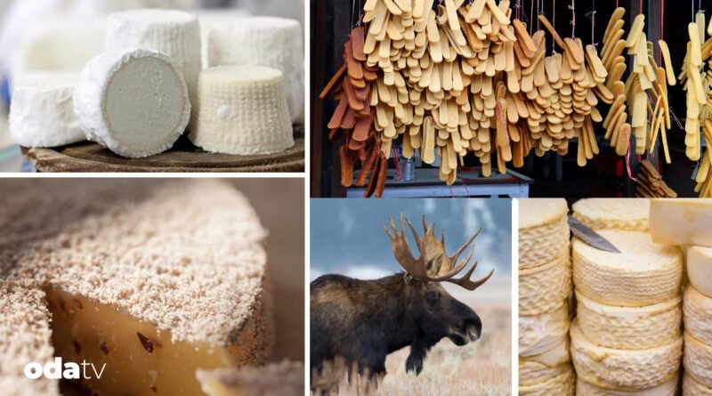 Dünyanın en tuhaf peynirleri - Son Dakika GastrOda Haberleri