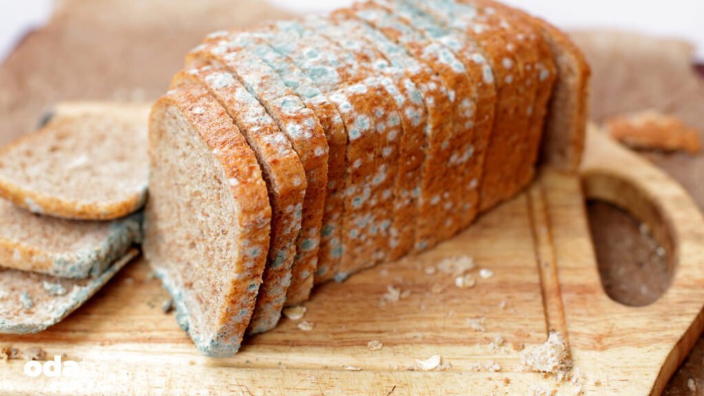 Küflenen ekmekler israfı artırıyor I Ekmekteki küf nasıl engellenir