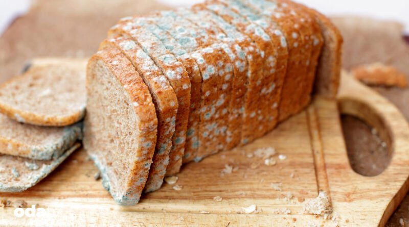 Küflenen ekmekler israfı artırıyor I Ekmekteki küf nasıl engellenir