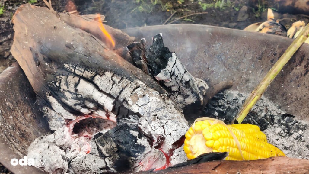 Odun külüyle mısır pişirme geleneği I Mısır odun külüyle neden pişirilir I Odun külü nasıl elde edilir