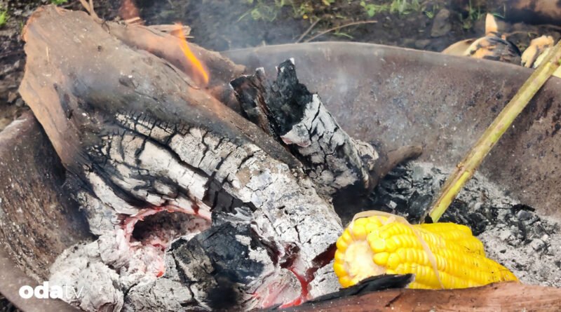Odun külüyle mısır pişirme geleneği I Mısır odun külüyle neden pişirilir I Odun külü nasıl elde edilir