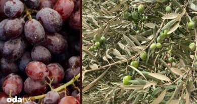 Tunç ve demir çağında orta doğuda tarım