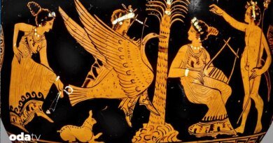 Urla’da zeytin ve sanat - Son Dakika GastrOda Haberleri