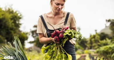 Yavaş gıdanın yeni umudu: Slow Food Çiftlikleri