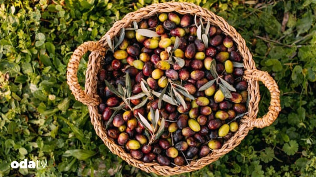 Geleceğin mutfağı tabakta değil sistemde kuruluyor