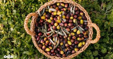 Geleceğin mutfağı tabakta değil sistemde kuruluyor