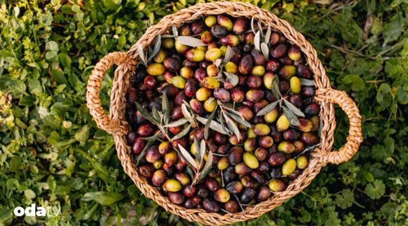 Geleceğin mutfağı tabakta değil sistemde kuruluyor