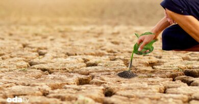İklim değişikliğinin tarıma olan etkisi