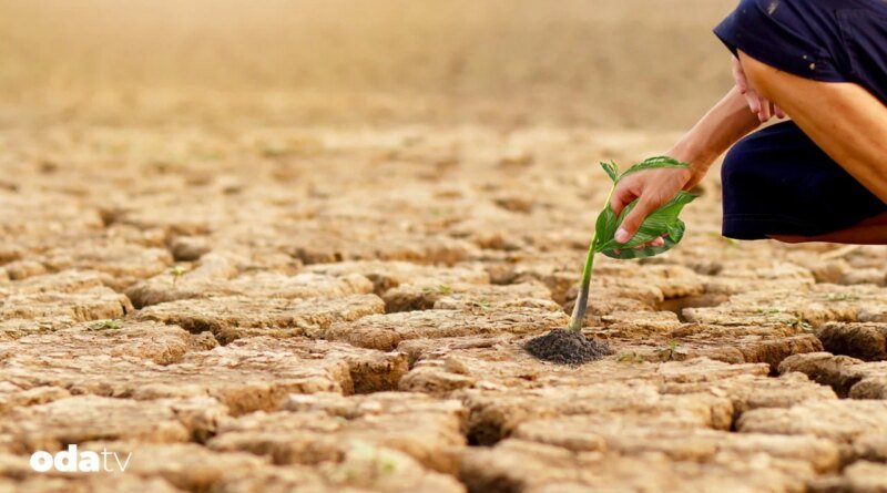 İklim değişikliğinin tarıma olan etkisi