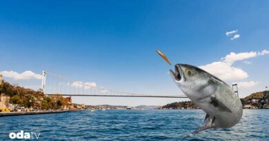 İstanbul ve lüfer neden özleşmiştir