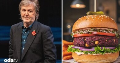 Paul McCartney'den 'bitkisel bazlı' eleştirisi