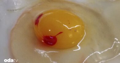 Yumurtada kırmızı leke neden oluşur