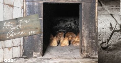 Altamura ekmeği nedir I Altamura ekmeğinin hikayesi